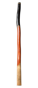 Jesse Lethbridge Didgeridoo (JL274)